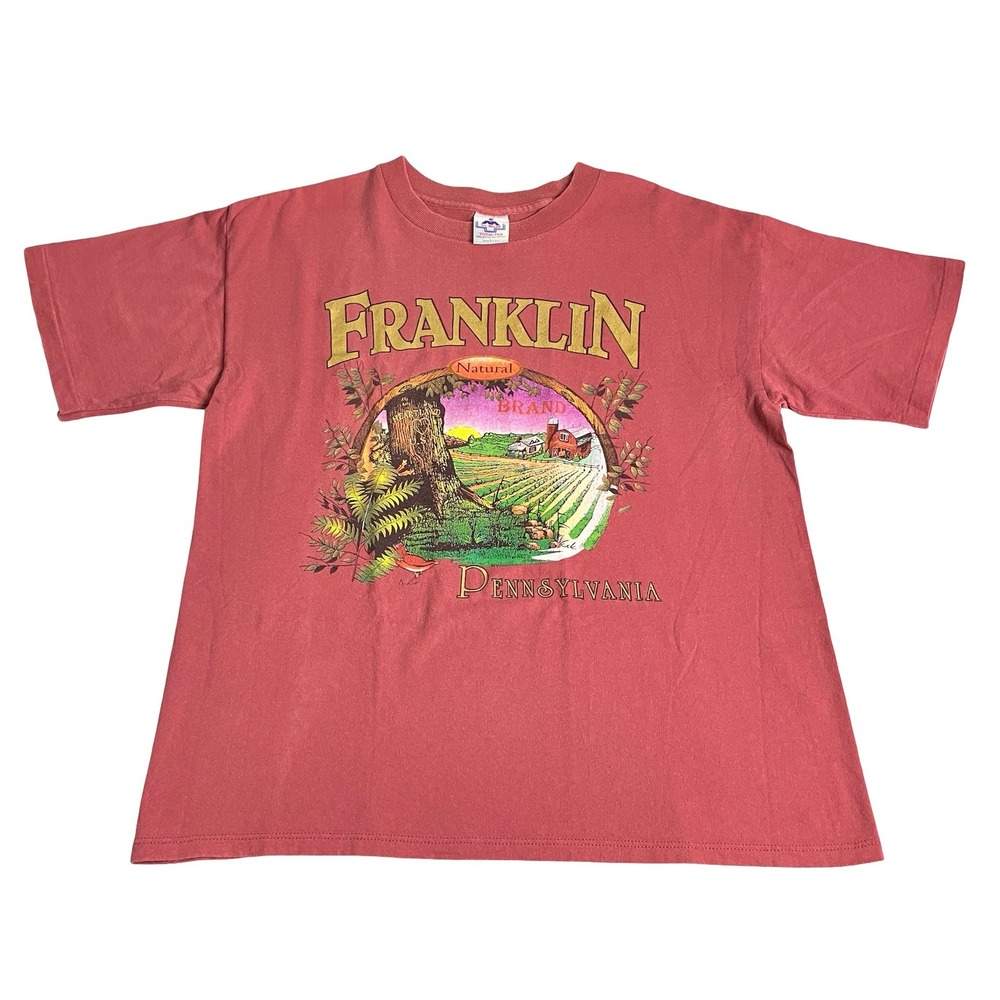 Vintage Franklin Pennsylvania Graphic Tee USA Made Mens L Single Stitch Cotton